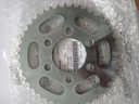 Catarina TNT150