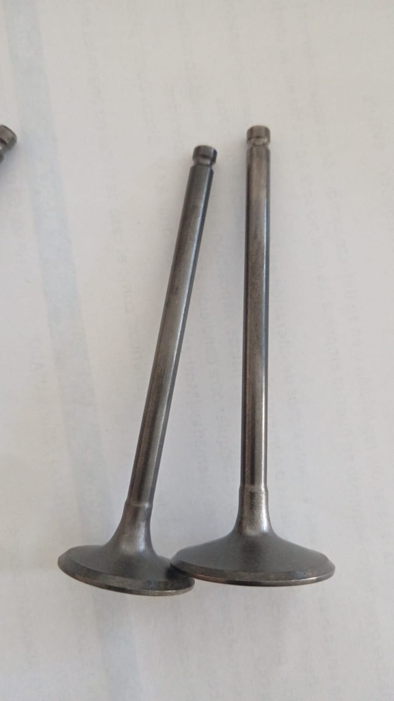 Valvulas Benelli /250/25/25N