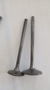 Valvulas Benelli /250/25/25N