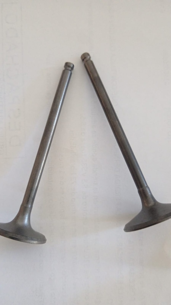 Valvulas Benelli /250/25/25N