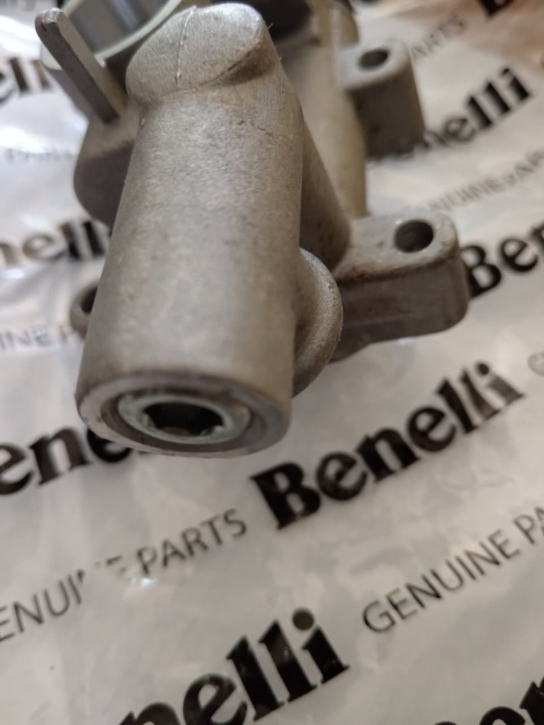 Bomba de aceite Benelli LEONCINO500/TRK502X