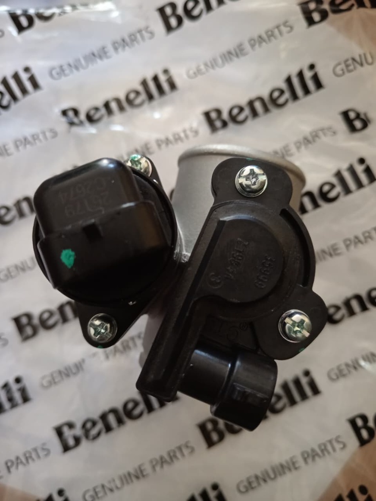Cuerpo de aceleracion Benelli TRK251/TNT250/25
