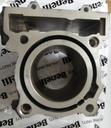 Cilindro Benelli TNT250/TRK251/25