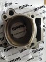 Cilindro Benelli TNT250/TRK251/25