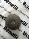 Piñon reductor de arranque TRK502 Benelli