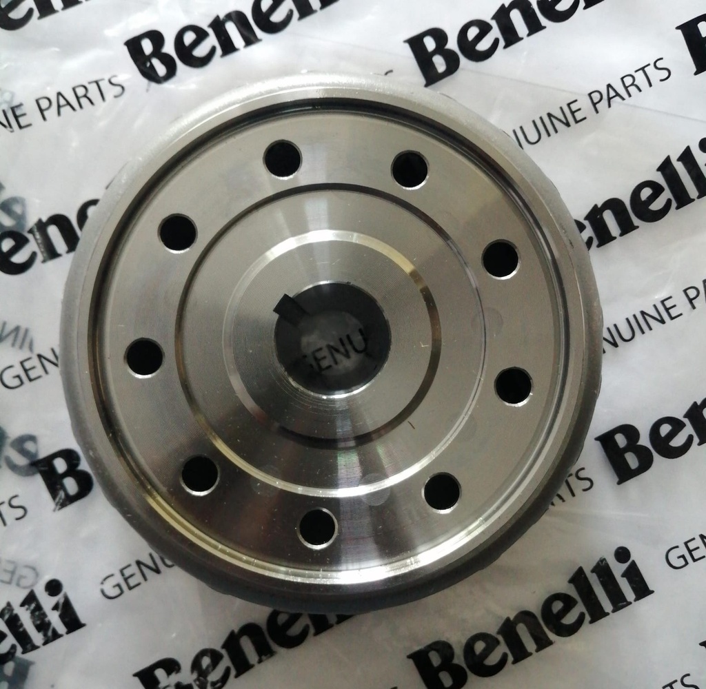 Magneto de balinera Benelli TNT250/TRK251/25