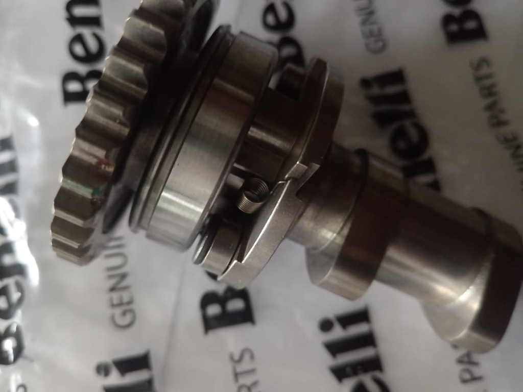 Arbol de eje levas unidad Benelli TNT250/TRK251/25