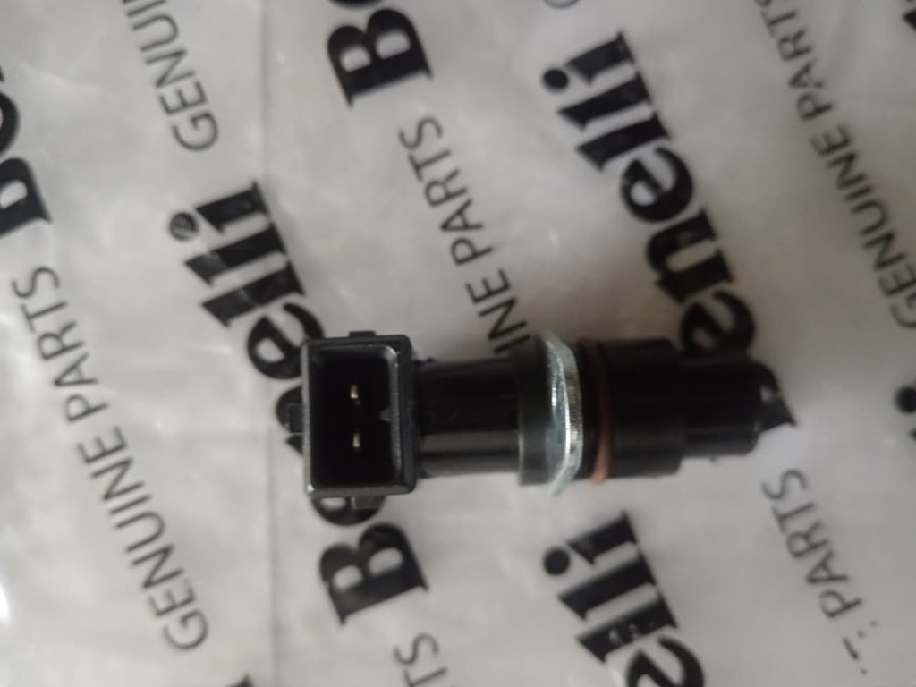 Sensor de fase 302S/LEONCINO500/TRK502