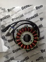 Bobina o Estator Benelli TNT250/TRK251