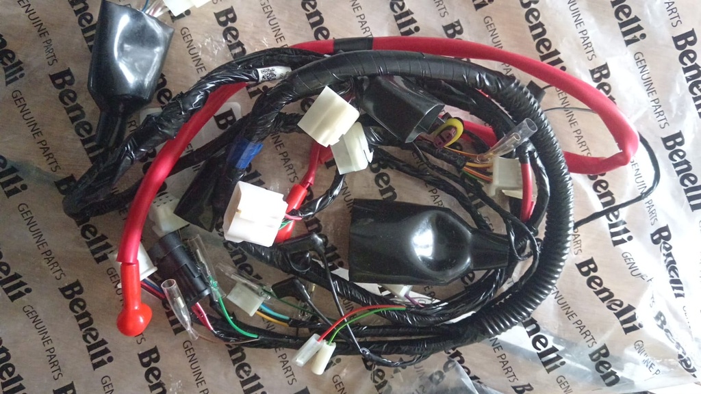 Arnes electrico TNT150