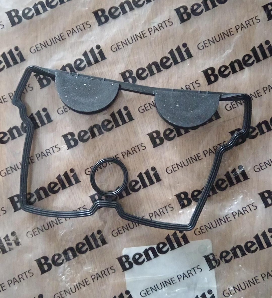 Junta de punteria Benelli TNT250/25