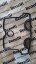 Junta de punteria Benelli TNT250/25