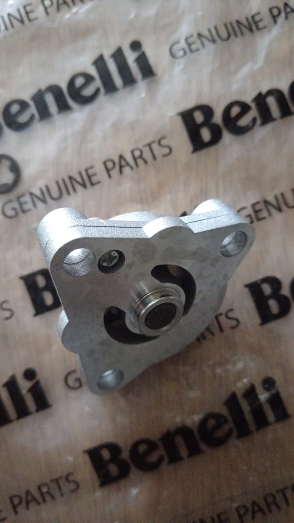 Bomba de aceite + piñón Benelli 180S