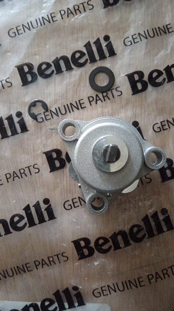 Bomba de aceite + piñón Benelli 180S