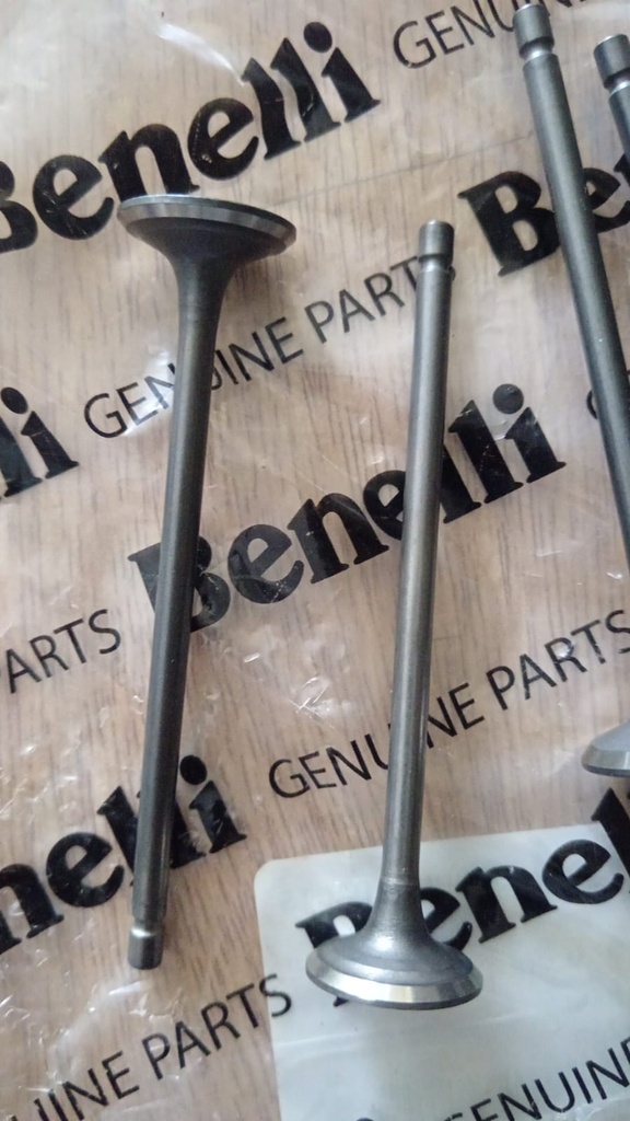Valvulas Benelli 180S