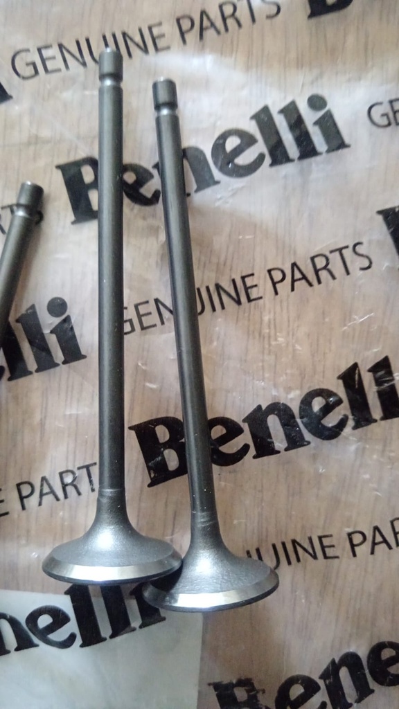 Valvulas Benelli 180S