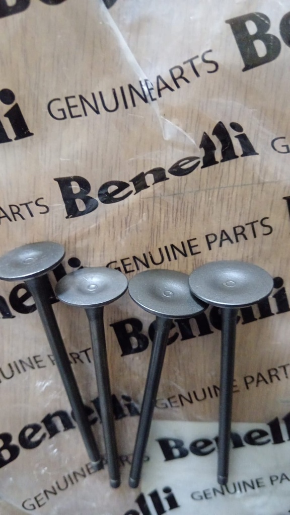 Valvulas Benelli 180S