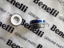 Sello de la bomba de agua Benelli TNT25/TNT250/180S/TRK251