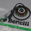 Bobina o Estator Benelli TNT250/TRK251