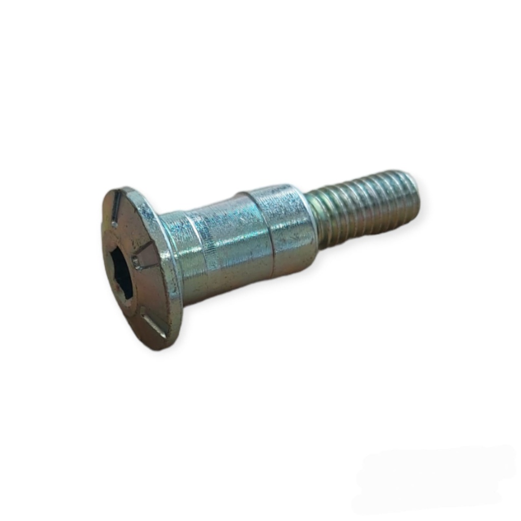 Perno pedal de cambio Benelli TNT150