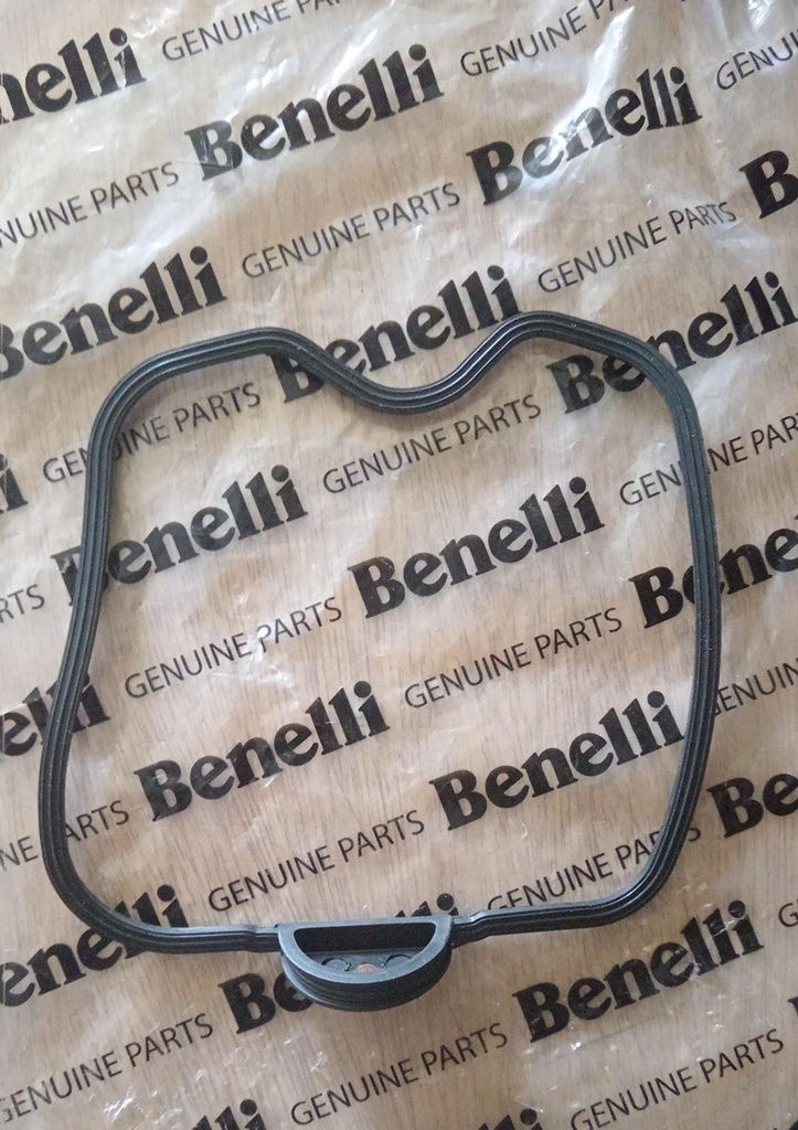 Junta de punteria de la Benelli TNT150