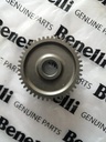 Piñon reductor de arranque TRK502 Benelli