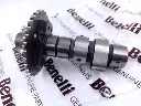 Arbol de levas Benelli TNT15