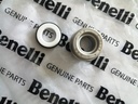 Sello de la bomba de agua Benelli TN180S