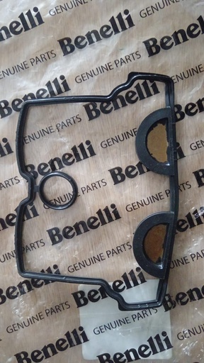Junta de punteria Benelli TNT250/25