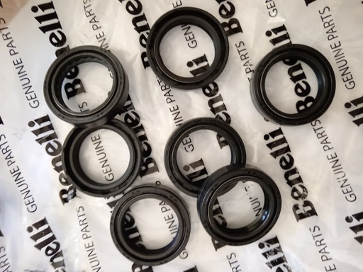 Sellos de las barras delanteras PAR Benelli TNT150/180S/135