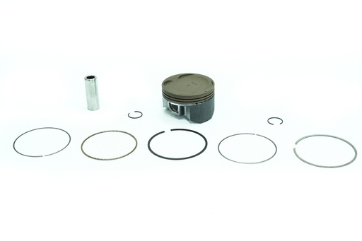 Piston kit de trk502/502x