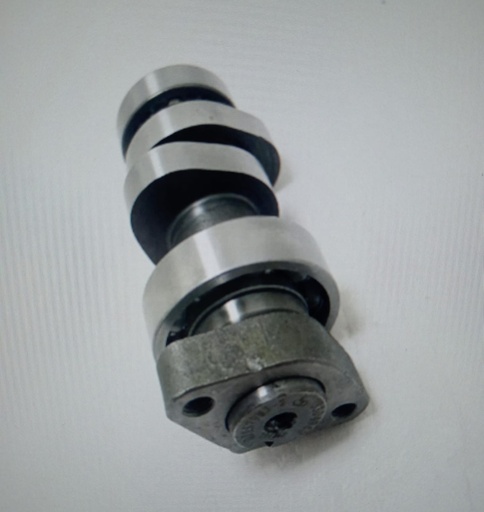 Arbol de levas Benelli TNT150