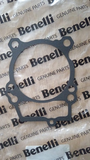Junta de cilindro Benelli TNT250